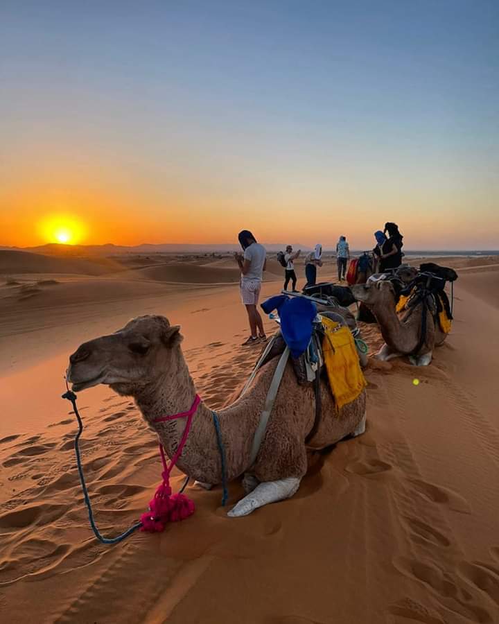 Merzouga